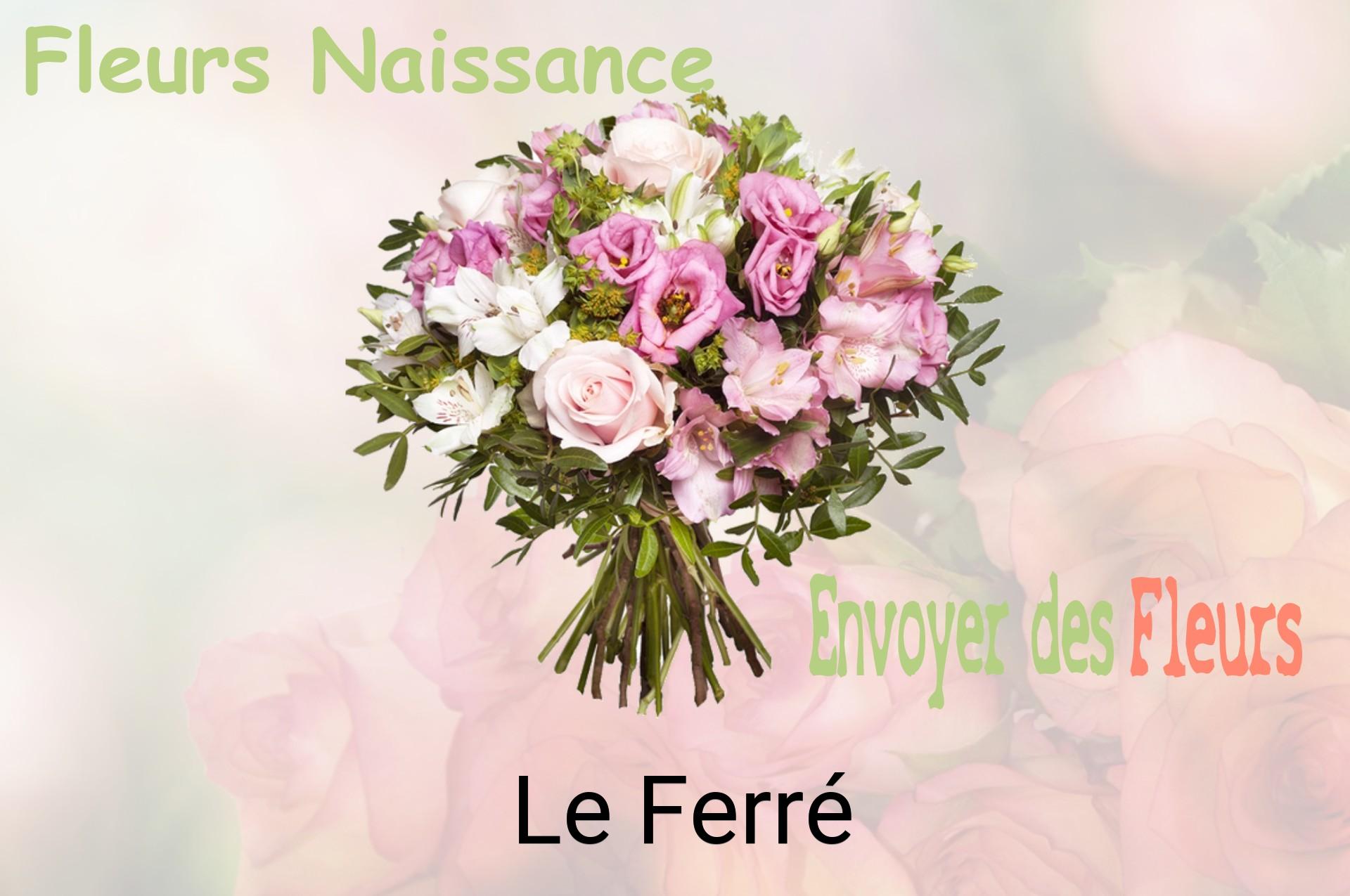 Bouquet de fleurs de naissance livré à Le Ferré